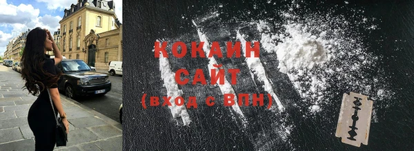 крисы Касимов