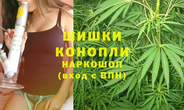 крисы Касимов