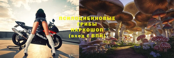 крисы Касимов