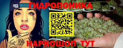 прущие грибы Балаково