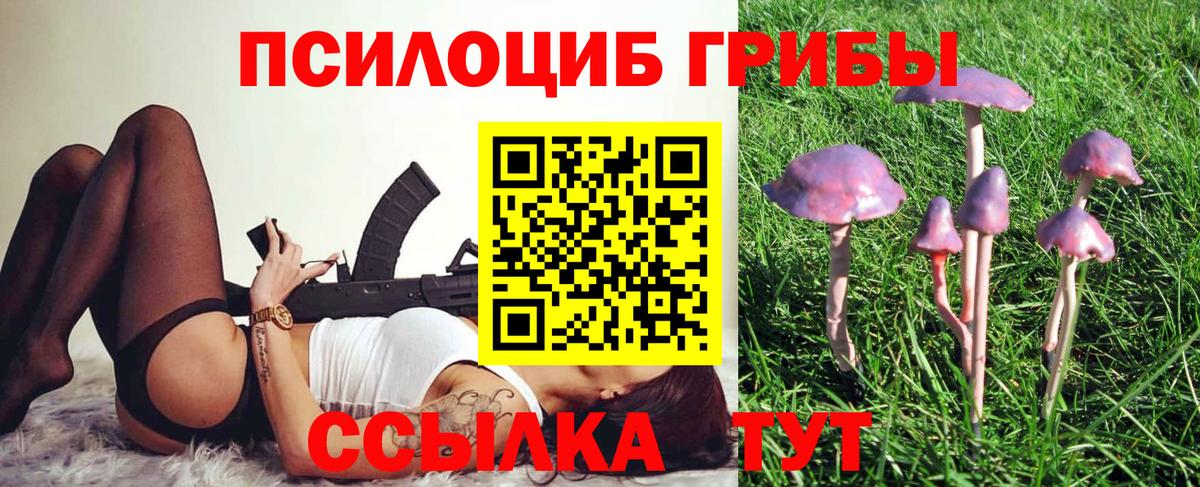 Псилоцибиновые грибы MAGIC MUSHROOMS  даркнет сайт  Кызыл 