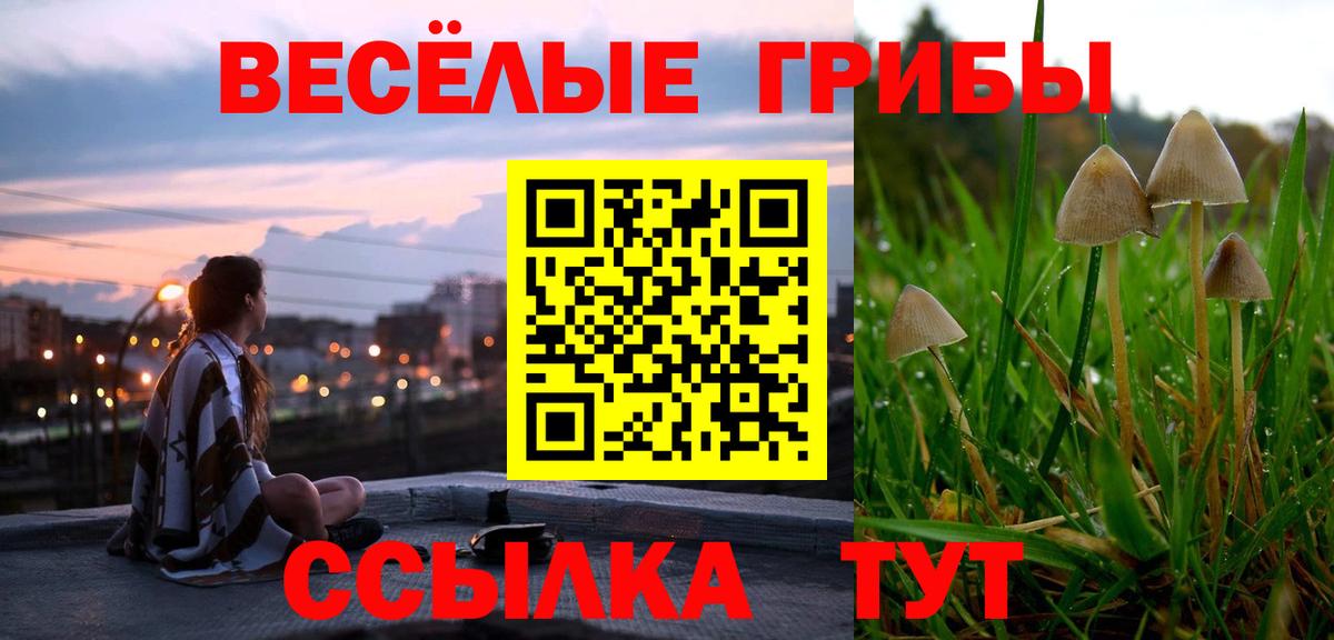 Кызыл  сколько стоит  Вход с VPN  Галлюциногенные грибы Psilocybe  Галлюциногенные грибы Cubensis 