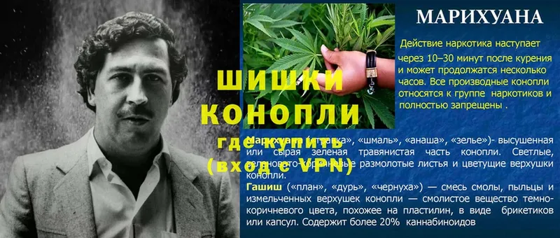 Бошки Шишки Ganja  где купить   Кызыл 